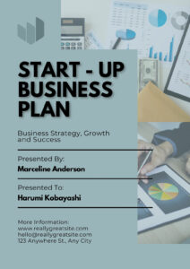 company formation & compliance framework